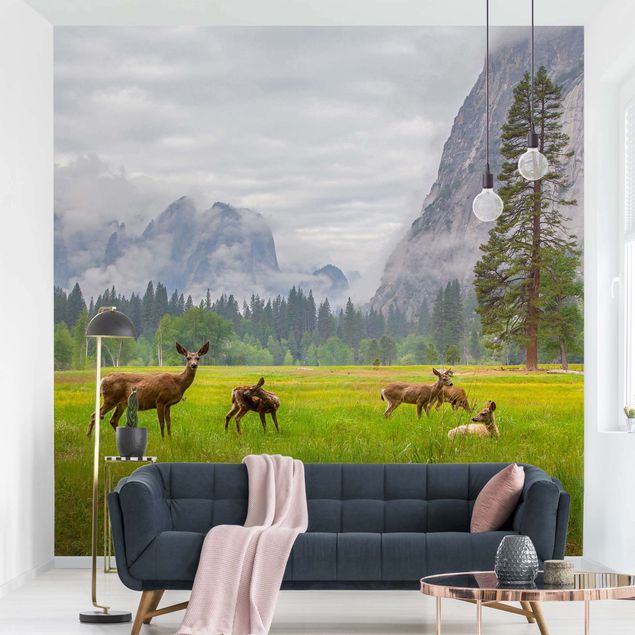 Wallpapers mountain Deer In The Mountains
