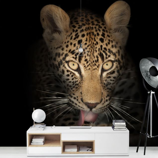 Wallpapers cat Resting Leopard