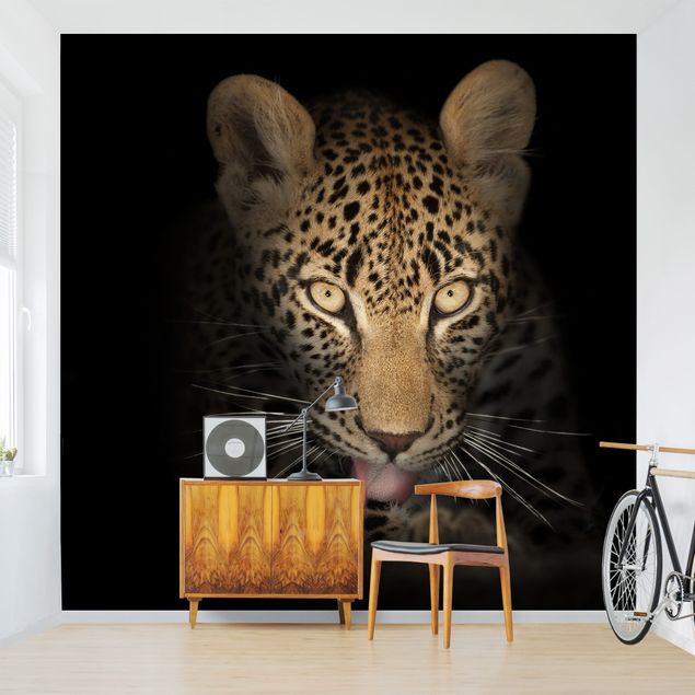 Wallpapers animals Resting Leopard