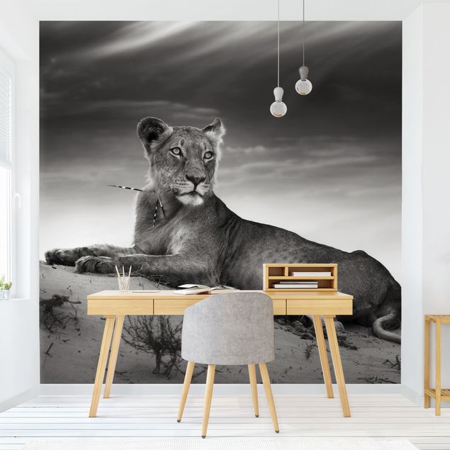 Wallpapers animals Resting Lion