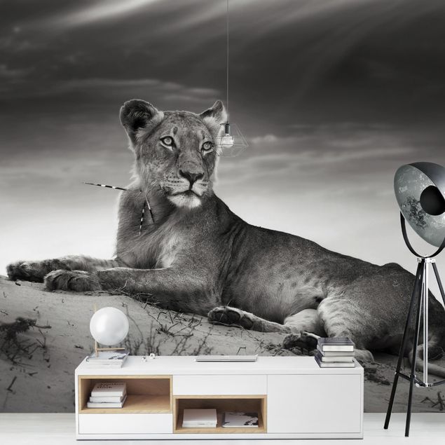 Contemporary wallpaper Resting Lion