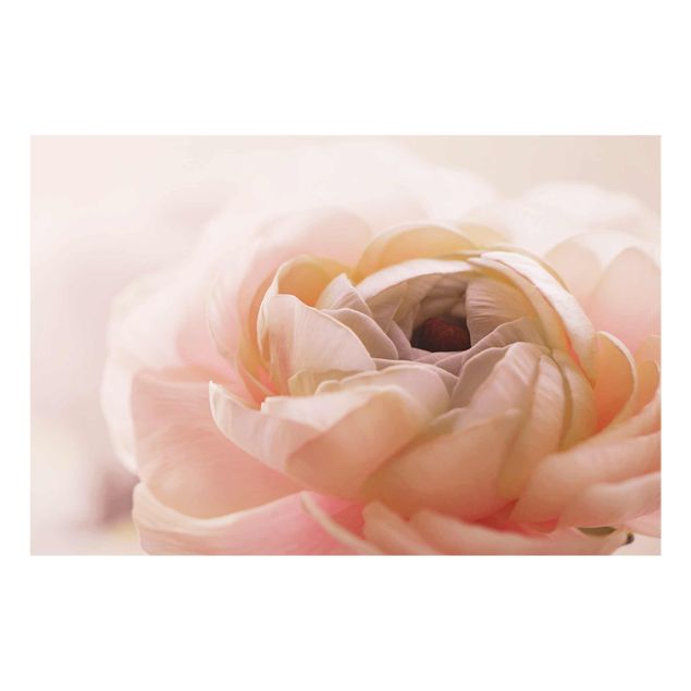 Floral picture Focus On Light Pink Flower