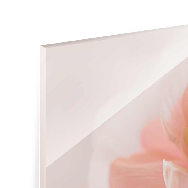 Monika Strigel Art prints Focus On Light Pink Flower