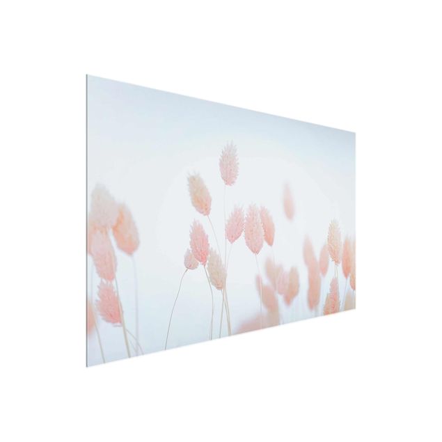 Floral picture Grass Tips In Pale Pink