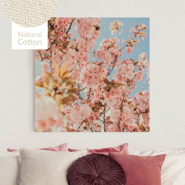 Canvas prints grasses Pink Cherry Blossoms Galore