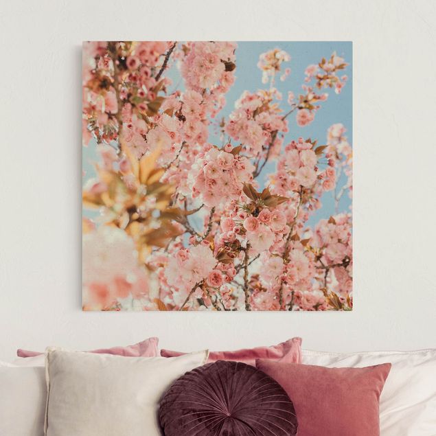 Floral canvas Pink Cherry Blossoms Galore