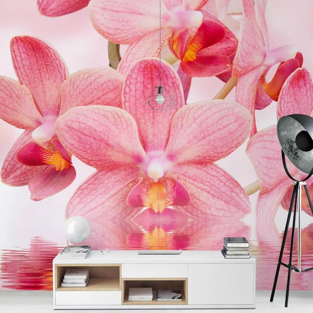 Contemporary wallpaper Light Pink Orchid On Water