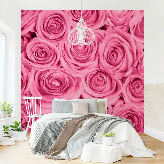 Wallpapers rose Pink Roses