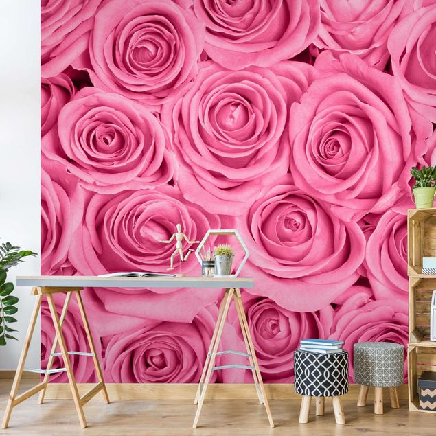 Wallpapers flower Pink Roses