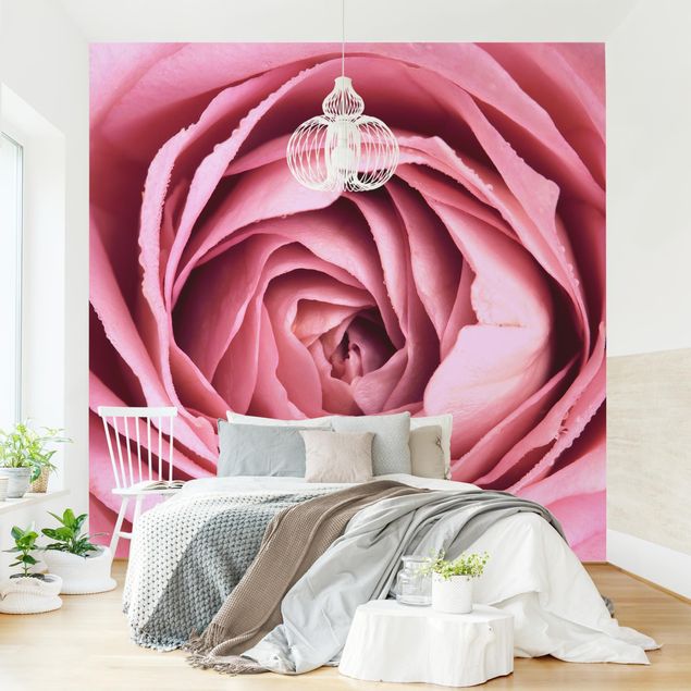 Floral wallpaper Pink Rose Blossom