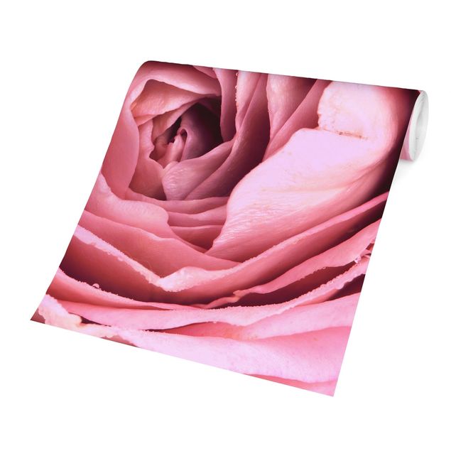 Country style wallpaper Pink Rose Blossom