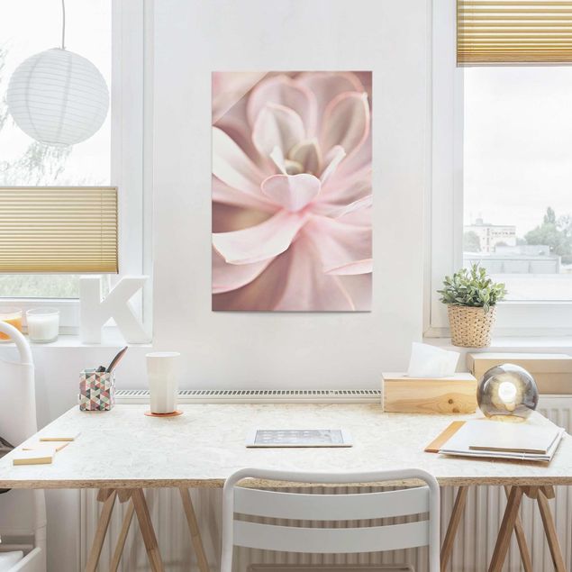 Glass prints flower Light Pink Succulent Flower