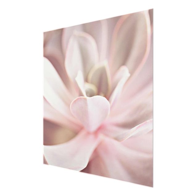 Monika Strigel Art prints Light Pink Succulent Flower