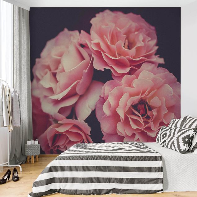 Rose flower wallpaper Paradisical Roses