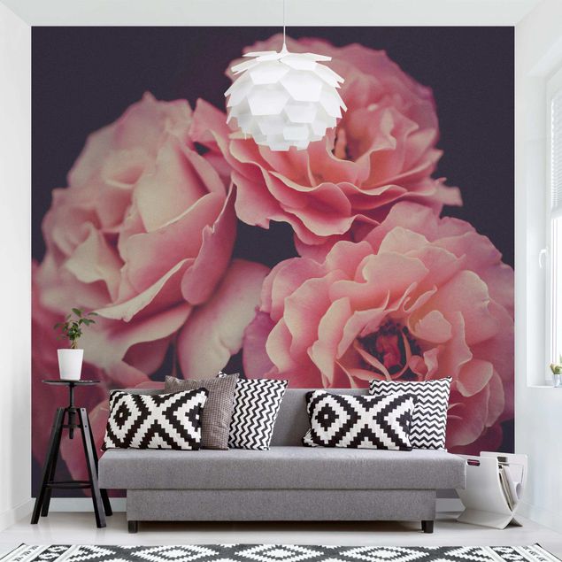 Wallpapers flower Paradisical Roses