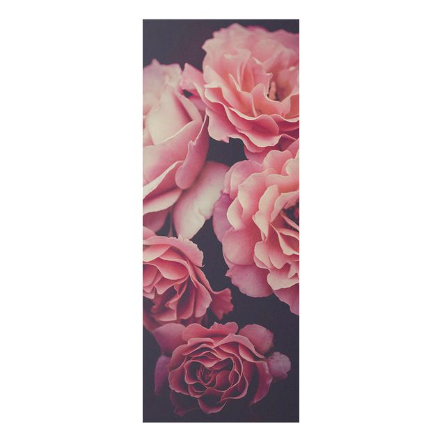 Prints flower Paradisical Roses