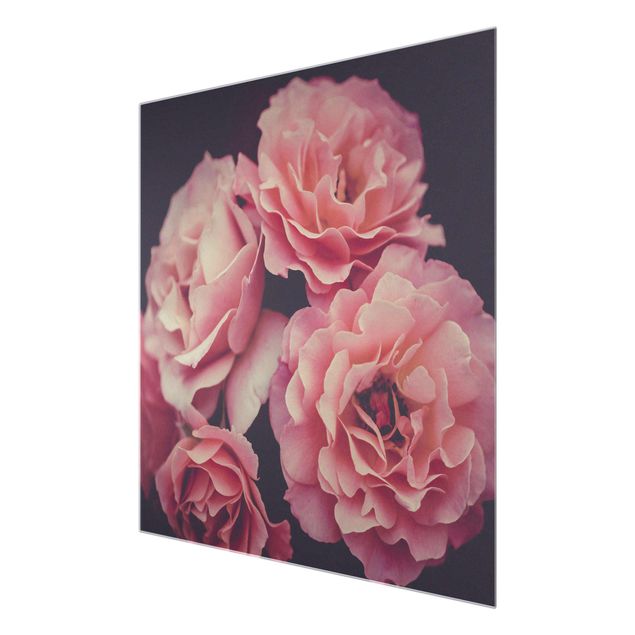 Pink wall art Paradisical Roses