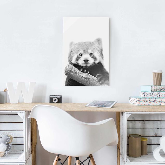 Prints animals Red Panda In Black And White