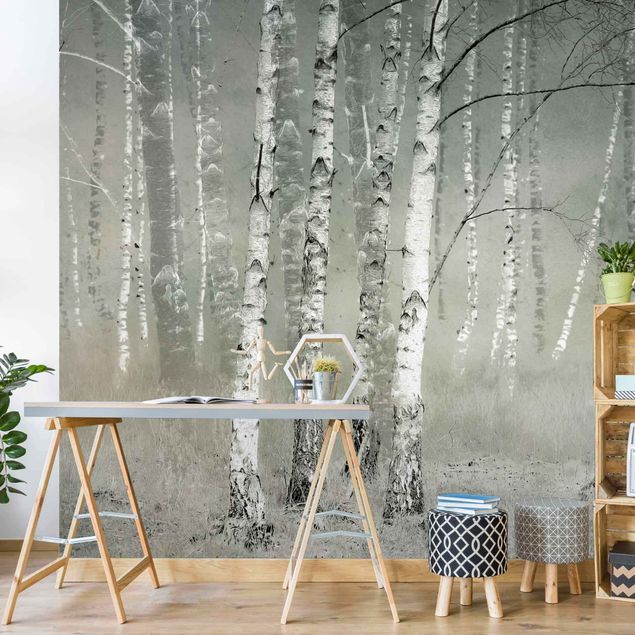 Rainforest wallpaper Dormant Birch Forest