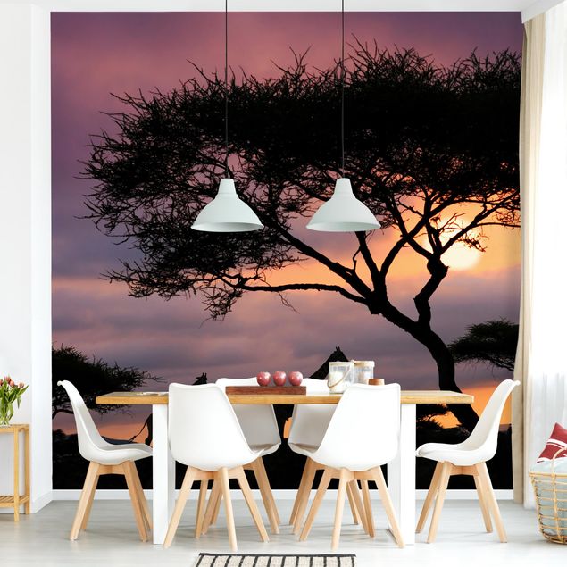 Beautiful sunset wallpaper African Safari