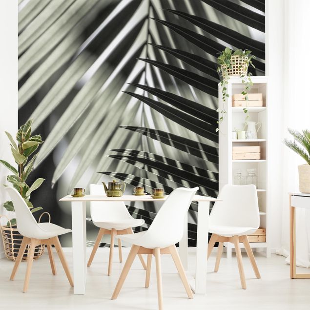 Contemporary wallpaper Interplay Of Shaddow And Light On Palm Fronds