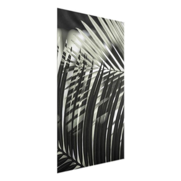 Flower print Interplay Of Shaddow And Light On Palm Fronds