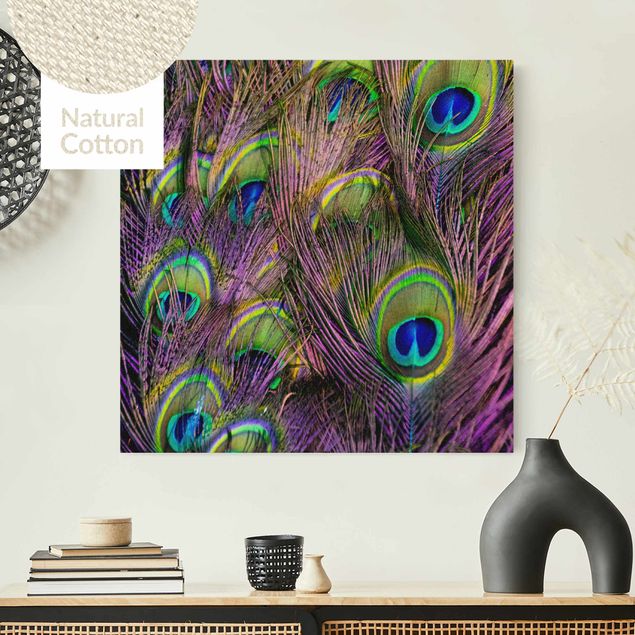 Canvas prints birds Iridescent Paecock Feathers