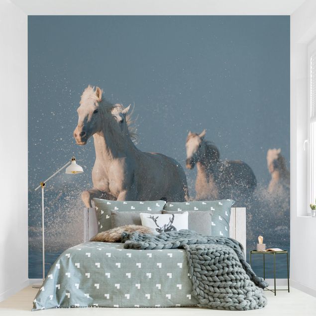 Wallpapers animals Herd Of White Horses