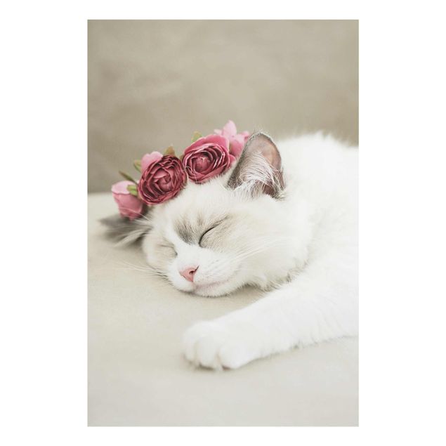 Flower print Sleeping Cat with Roses