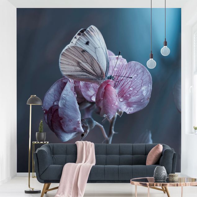 Wallpapers flower Butterfly In The Rain