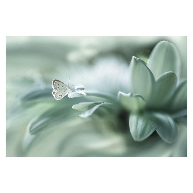 Self adhesive wallpapers Butterfly And Dew Drops In Pastel Green