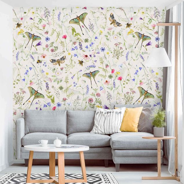 Wallpapers animals Butterflies With Flowers On Cream Colour