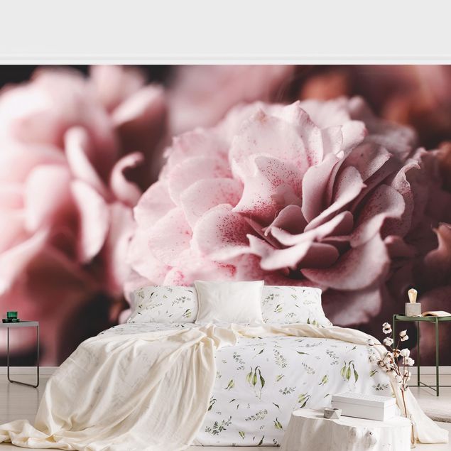 Wallpapers flower Shabby Light Pink Rose Pastel