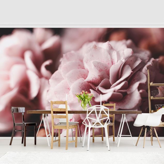 Modern wallpaper designs Shabby Light Pink Rose Pastel