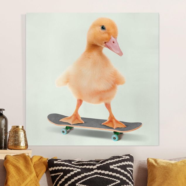 Canvas birds Skate Duck