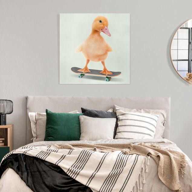 Canvas art Skate Duck