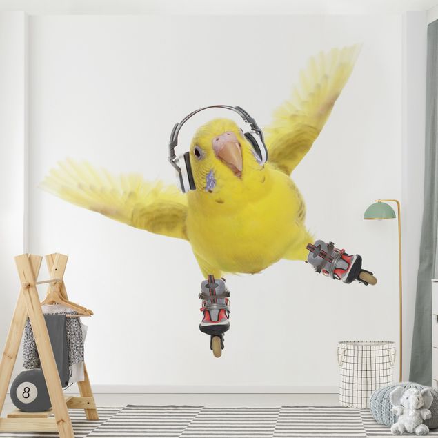 Wallpapers birds Skate Parakeet