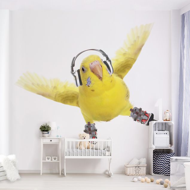 Wallpapers animals Skate Parakeet