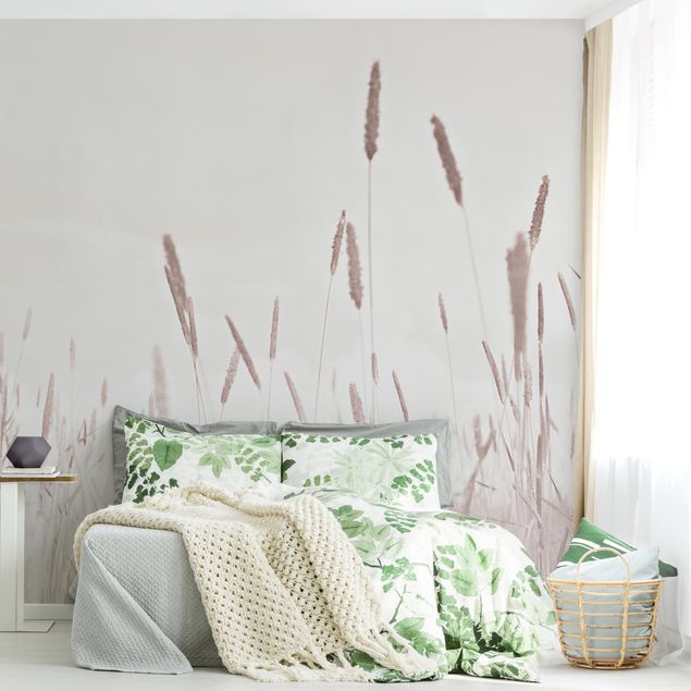 Modern wallpaper designs Summerly Reed Grass