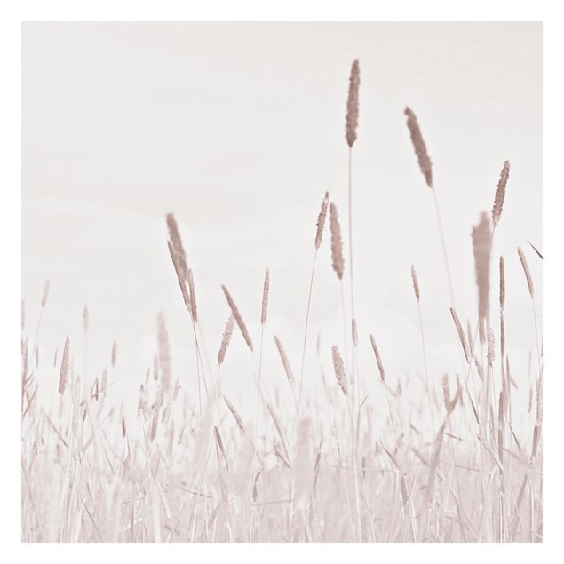 Monika Strigel Art prints Summerly Reed Grass