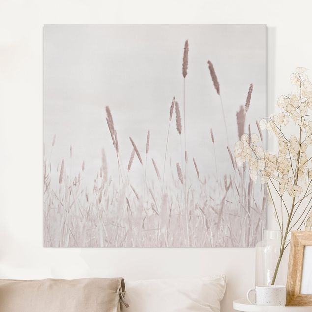 Canvas prints grasses Summerly Reed Grass