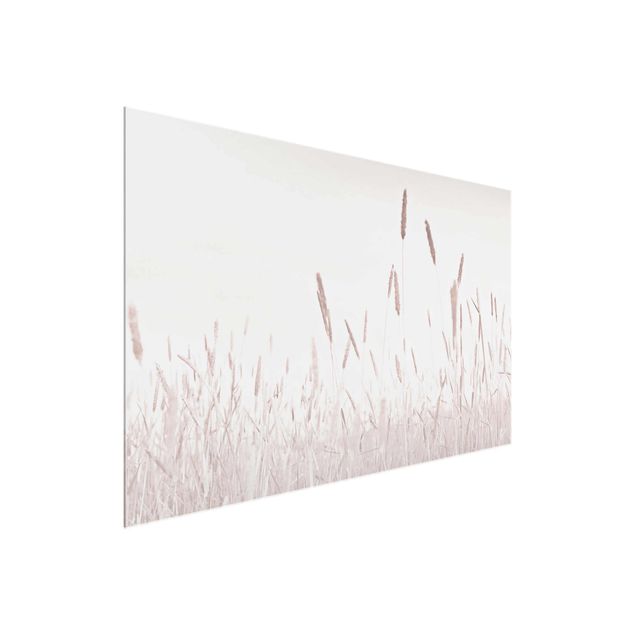 Floral prints Summerly Reed Grass