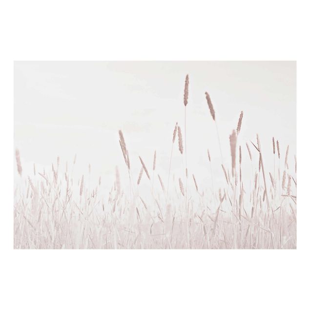 Monika Strigel Art prints Summerly Reed Grass