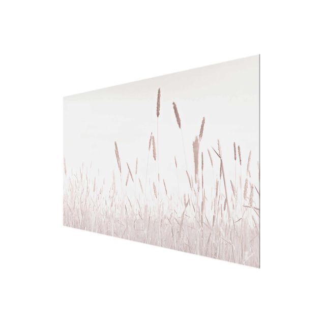 Prints Summerly Reed Grass