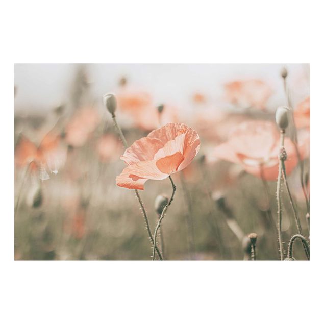 Prints floral Sun-Kissed Poppy Fields