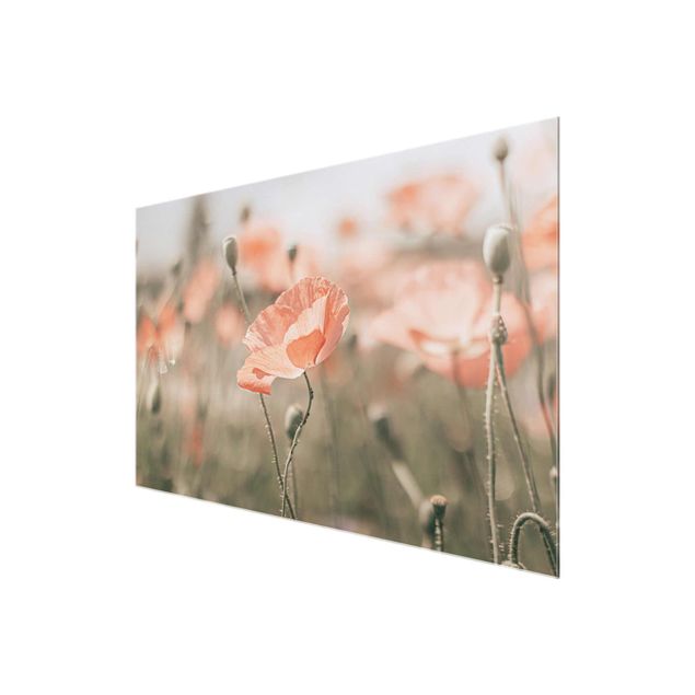Floral prints Sun-Kissed Poppy Fields