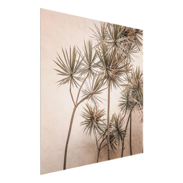 Prints floral Sun-Kissed Palm Trees