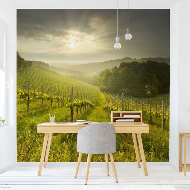 Wallpapers mountain Sunrays Vineyard