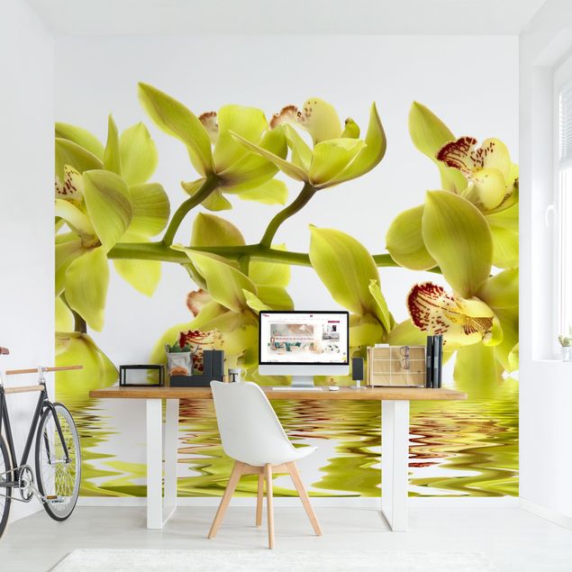 Wallpapers modern Splendid Orchid Waters