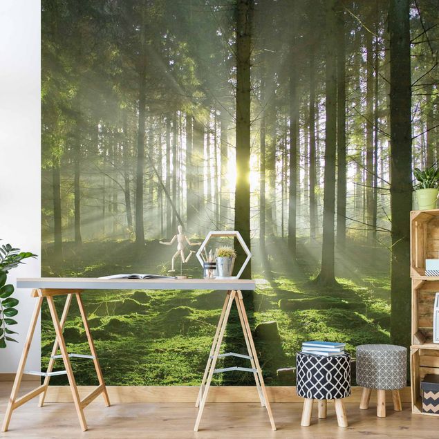 Rainforest wallpaper Spring Fairytale